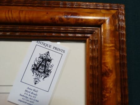 archival professional picture framing
