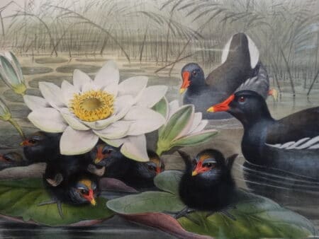 art collection decorative antiques 