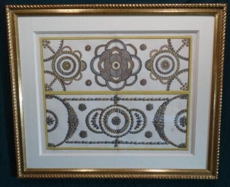 Albertus Seba sea shells, antique design engraving.
