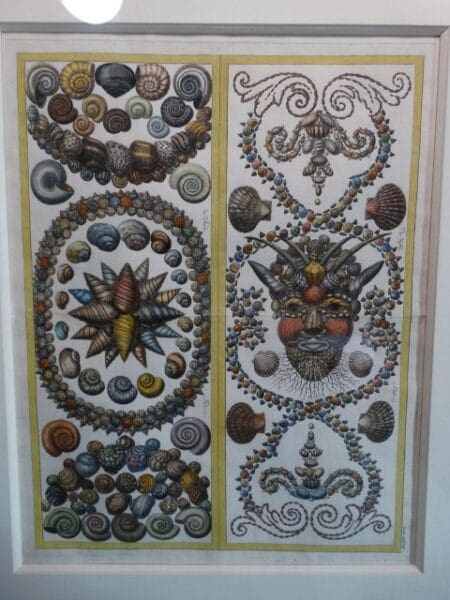 Close-up of detail in an antique sea shells engraving. Design and layout are spectacular.