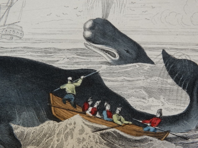 Find authentic antiques to do with whaling.
