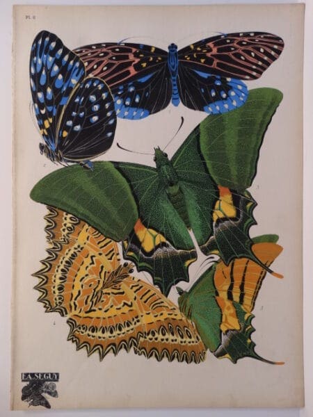 Pochoir butterfly designs by E.A. Seguy published 1926 in Paris, France.