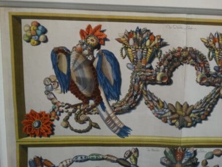 Close up of sea shells designed in the form of parrots.