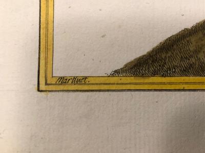 Francois Martinet 18th century antique prints of songbirds have a gold frame around the bird and an engraved signature if the engraving was approved by the author.