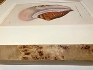 Are you searching around for decorative artwork for your oceanside home? Let us help.