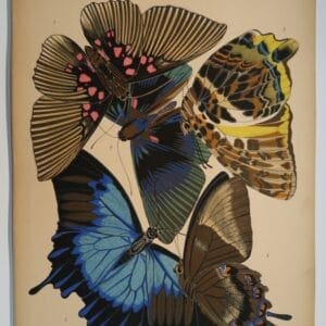 Original pochoir, EASeguy Papillons Plate-16, 1925. The Art Deco, butterfly compositions, have impacted the design industry, for decades.