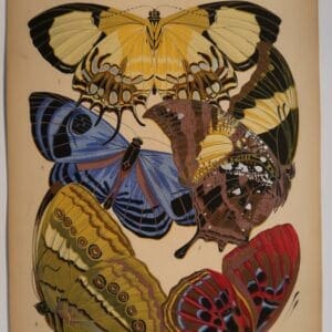 E.A.Seguy's butterfly plates, are decorative pochoir plates, and represent Parisian Art-Deco, in it's height during the 1920's.