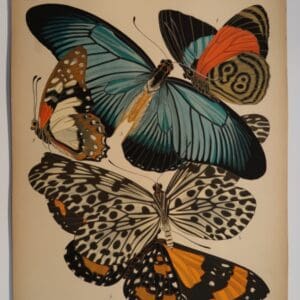 Own an original E.A. Seguy Papillons Plate.