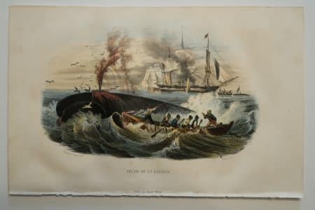 Whaling ships and whaleboats, Peche de la Baleine, a mid 19th century, antique lithograph. Whaling scene features distressed Baleen whale, being attacked by 6 men in whaleboat. Whaling ships in distance. 6 1/2 x 10"