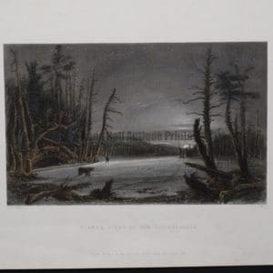 Bartlett Scene on the Catterskills 2