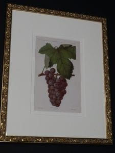 decorative wall art grapes