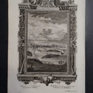 Leviathan, Balaena, c.1730. $350.