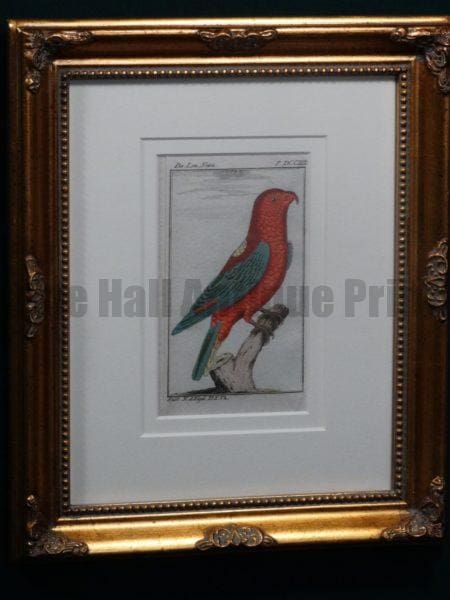 Buffon Red Lori FR10. Lori Noira, $200.