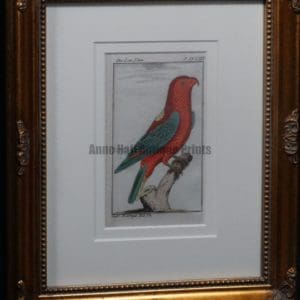 Buffon Red Lori FR10. Lori Noira, $200.