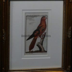 Buffon Blue Violette Lori Framed FR2