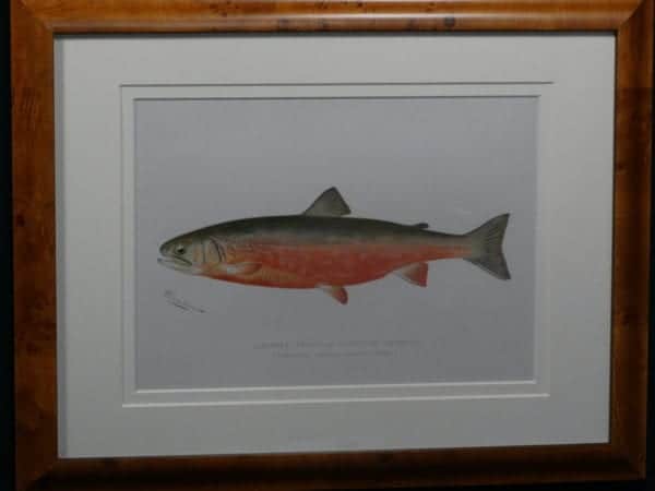 Denton Framed Sunapee Trout