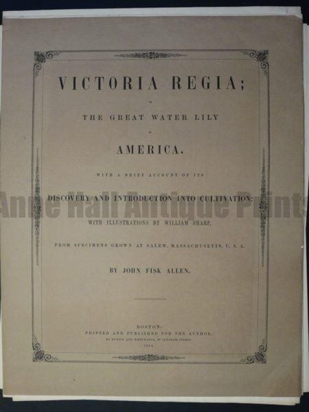 The rRare Americana water lily chromolithographs. color lithograph. Page Victoria Regia John Fisk Allen
