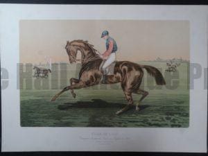 Fille-De-L'air Horse