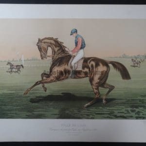 Fille-De-L'air Horse