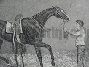 Horses Antique engravings lithographs. over 100 years old
