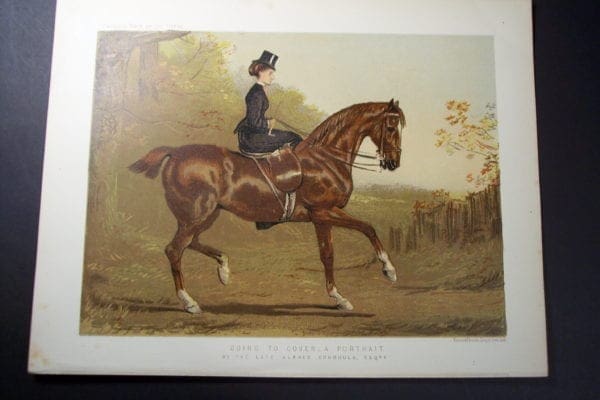 side saddle