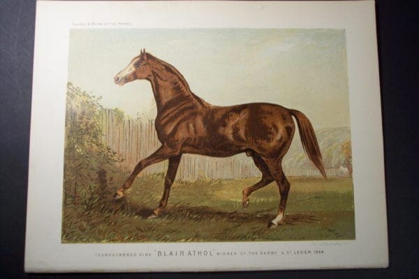 Blair Athol