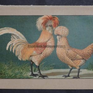 Kramer Poultry Chromolithograph 36