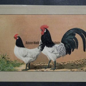 Kramer Poultry Chromolithograph 31