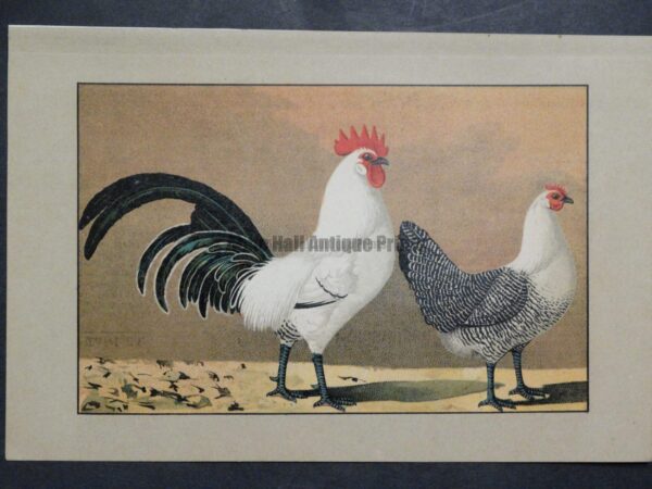 Kramer Poultry Chromolithograph 30