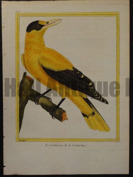 Martinet 570, Le Couliavan, de la Cochinchine