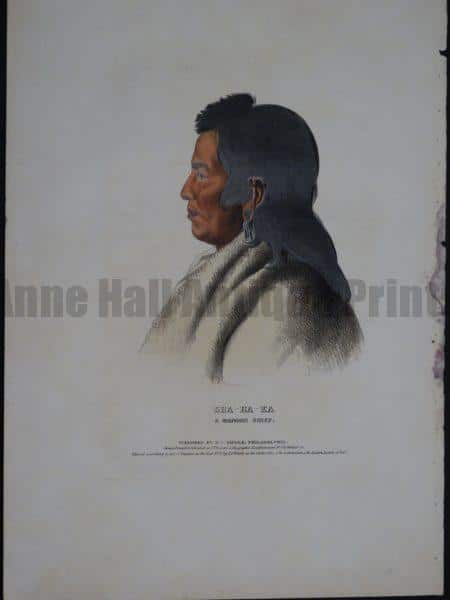 McKenney Hall - Sha-Ha-Ka, a hand-colored lithograph from the 1830's. American-Indian face is in profile. He was a Mandan Chief.