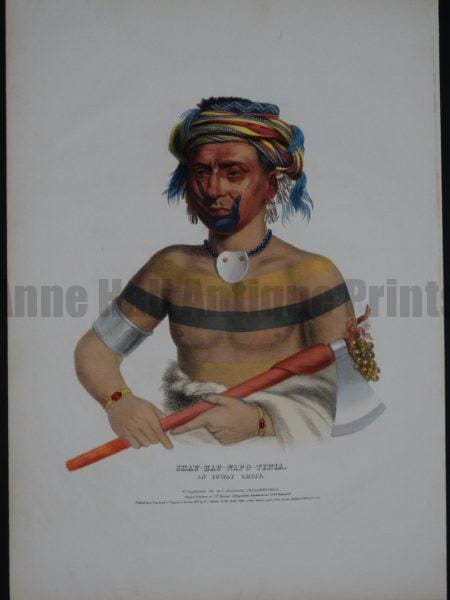 McKenney Hall - Shau-Hau-Napo-Tinia, a highly decorated and painted, Ioway Chief.