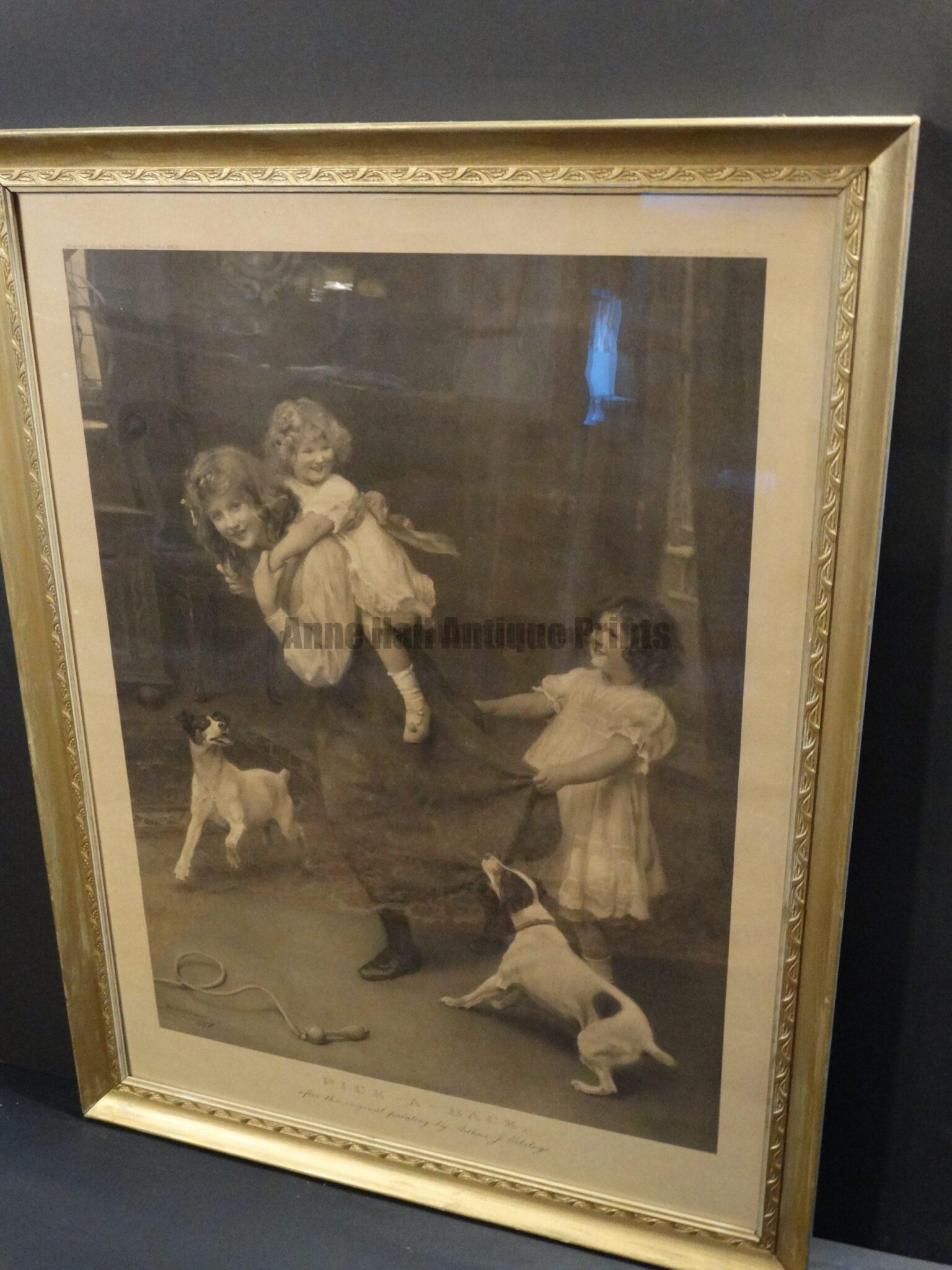 Pick-A-Back, Framed Antique Terriers Dog Engraving of Jack Russell Terriers by Arthur J. Elsley, 1904. From the Illustrated London News.