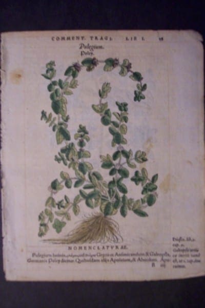 Polegium, 1560.