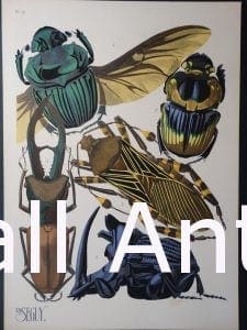 Seguy Pochoir Insectes Plate 15