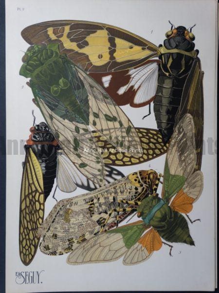 Seguy Pochoir Insectes Plate 2