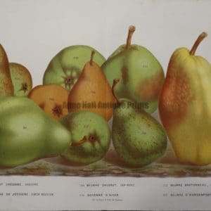 original artwork pears