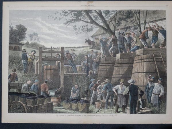 Pressing wine in 1878 in California. A hand colored wood engraving. Every part of the vintage is shown in explicit detail. The wine press is being handled manually the Chinese are bringing in wine grapes to be pressed, the collection baskets are clearly shown, the huge barrels of wine, the stomping of the grapes and the tasting are clearly shown.