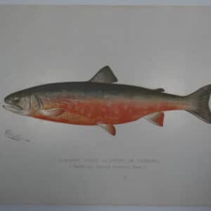 Fishing Themed Artwork