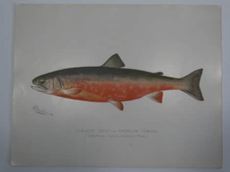 Fishing Themed Artwork