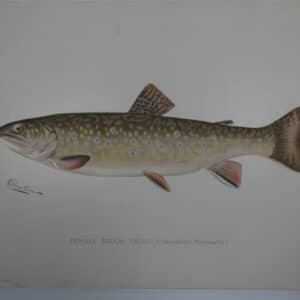 decorative art fly fishing