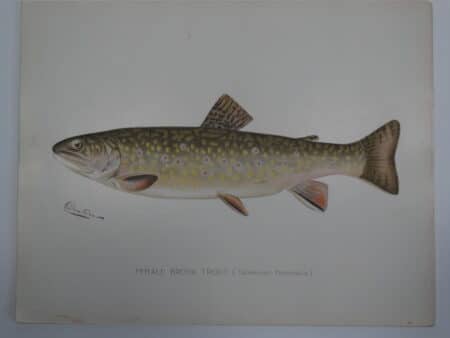 decorative art fly fishing